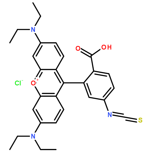 罗丹明 B 异硫氰酸酯