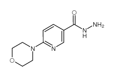 6-morpholin-4-ylpyridine-3-carbohydrazide