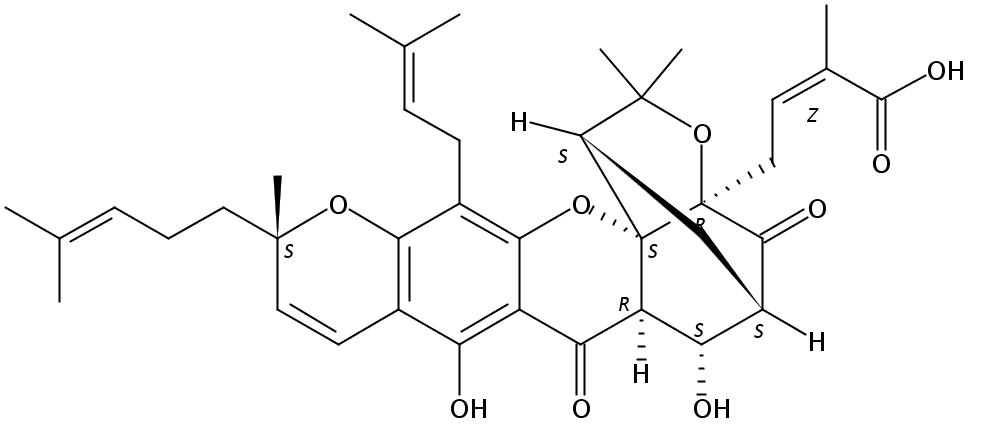9R-10alpha-羟基表藤黄酸