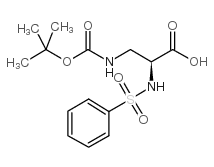 (2S)-2-(aminomethyl)-2-(benzenesulfonamido)-3-[(2-methylpropan-2-yl)oxy]-3-oxopropanoic acid