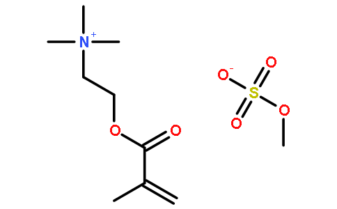 N,N,N-三甲基-2-[(2-甲基-1-氧代-2-丙基)氧]-乙氨甲基硫酸酯