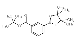 3-T-BUTOXYCARBONYLPHENYLBORONIC ACID, PINACOL ESTER