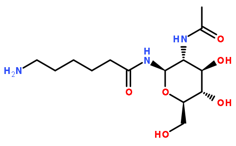2-乙酰胺-N-(E-氨基己酰)-2-脱氧-B-D-吡喃葡糖胺