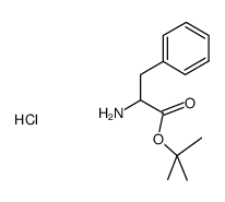 (S)-2-氨基-3-苯基丙酸叔丁酯盐酸盐
