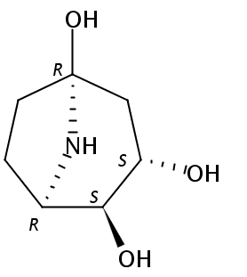 Calystegine A5