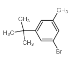 1-溴-3-叔丁基-5-甲基苯