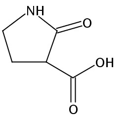 2-氧代-吡咯烷-3-羧酸