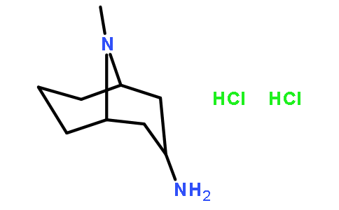 内向-9-甲基-9-氮杂双环[3,3,1]壬烷-3-胺盐酸盐
