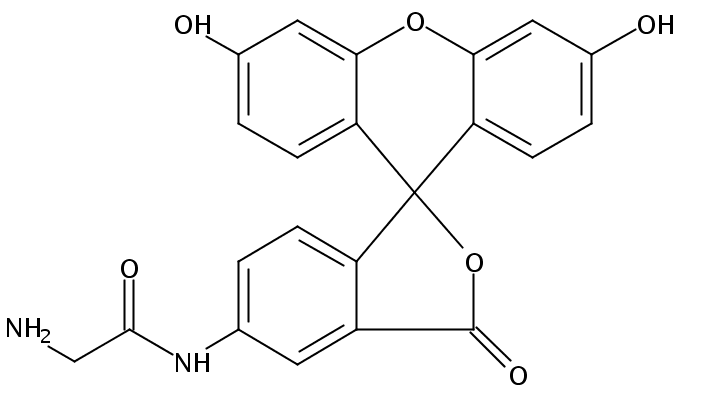 Fluoresceinyl Glycine Amide  [5-(Aminoacetamido)Fluorescein]