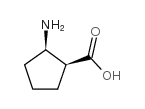 顺-2-氨基-1-环戊羧酸