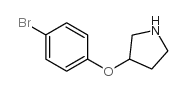 3-(4-溴-苯氧基)-吡咯烷