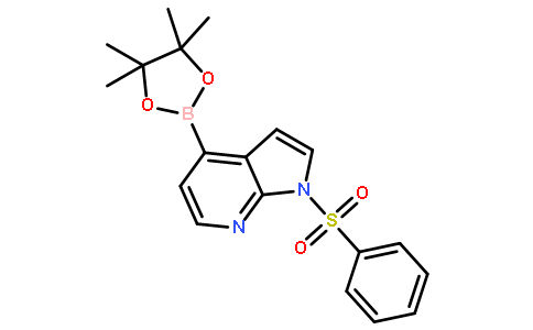 1-(苯磺酰基)-4-(4,4,5,5-四甲基-1,3,2-二氧硼烷-2-基)-1H-吡咯并[2,3-B]吡啶