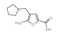 5-甲基-4-吡咯烷-1-甲基呋喃-2-羧酸
