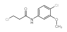 3-chloro-N-(4-chloro-3-methoxyphenyl)propanamide