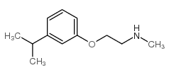 N-methyl-2-(3-propan-2-ylphenoxy)ethanamine