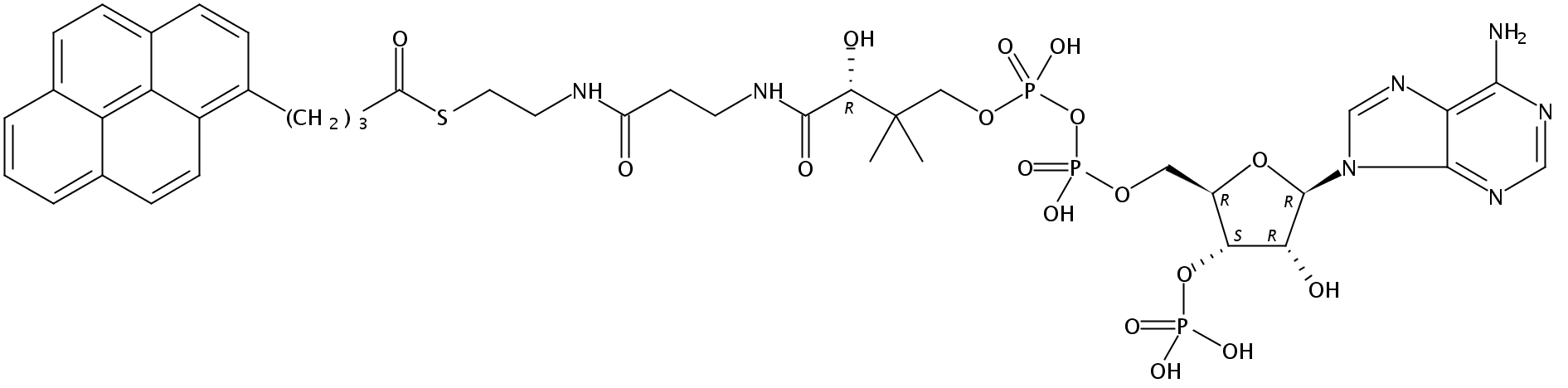 1-pyrenebutanoyl Coenzyme A (ammonium salt)