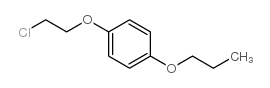 1-(2-chloroethoxy)-4-propoxybenzene