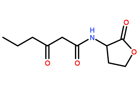 N-(3-氧代己酰)-DL-高丝氨酸内酯