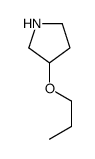 (R)-3-丙氧基-吡咯烷