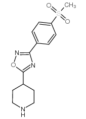 3-(4-甲砜基苯基)-5-(4-哌啶基)-1,2,4-噁二唑
