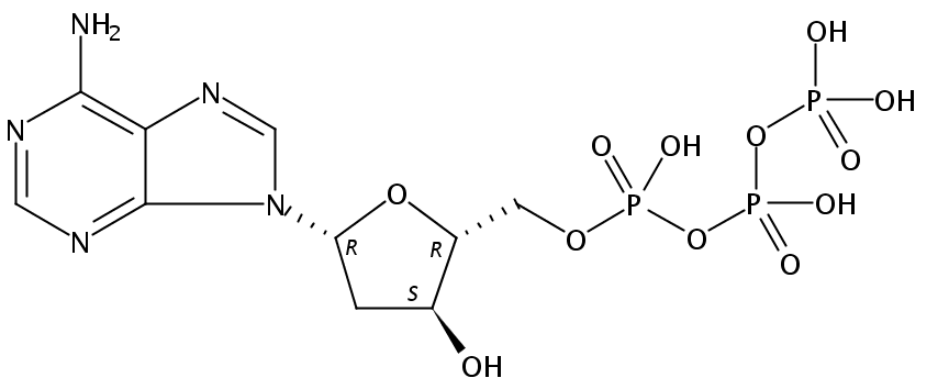 2′-脱氧腺苷-5′-三磷酸 钠盐