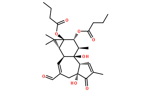 20-氧代-20-脱氧佛波醇-12,13-二丁酸