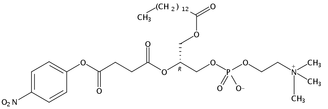 1-myristoyl-2-(4-nitrophenylsuccinyl)-sn-glycero-3-phosphocholine