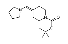 4-(吡咯烷-1-基亚甲基)哌啶-1-羧酸叔丁酯