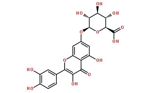 槲皮素-7-O-葡萄糖醛酸苷