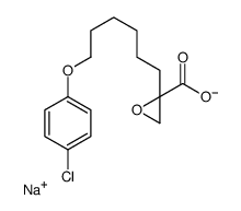 钠 (s)-2-(6-(4-氯苯氧基)己基)环氧乙烷-2-羧酸