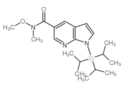 1-三异丙基硅烷-1H-吡咯并[2,3-b]吡啶-5-羧酸甲氧基甲酰胺