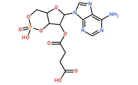 3’:5’-环一磷酸-2’-O-一丁二酰腺苷