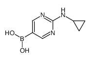 2-(环丙基氨基)嘧啶-5-硼酸