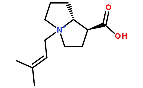 Anodendrine