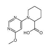 1-(6-Methoxypyrimidin-4-yl)piperidine-2-carboxylic acid