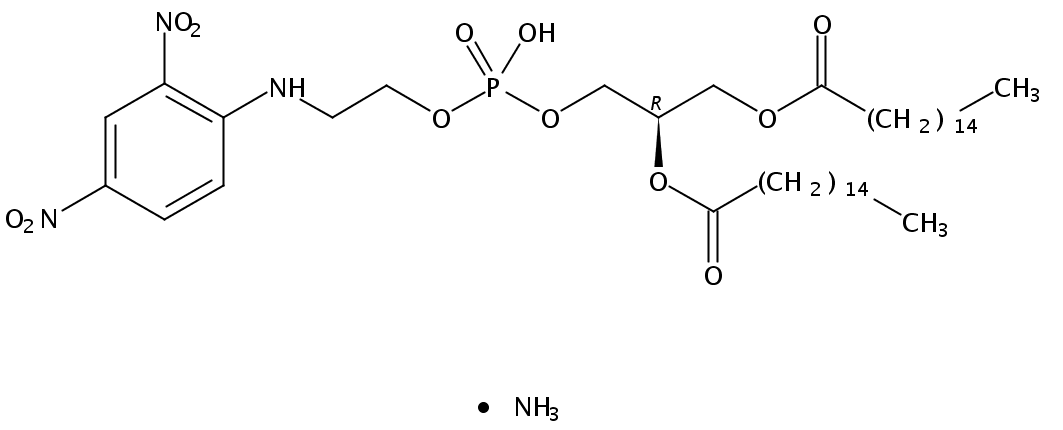 1,2-dipalmitoyl-sn-glycero-3-phosphoethanolamine-N-(2,4-dinitrophenyl) (ammonium salt)