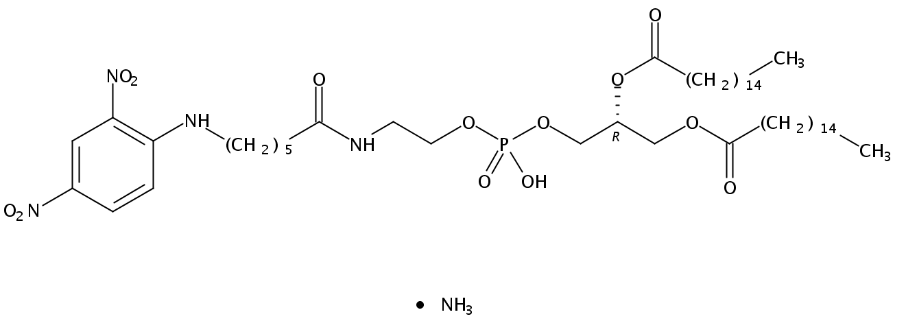 1,2-dipalmitoyl-sn-glycero-3-phosphoethanolamine-N-[6-[(2,4-dinitrophenyl)amino]hexanoyl] (ammonium salt)