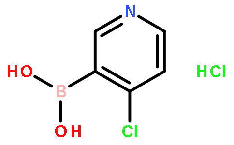 4-氯吡啶-3-硼酸盐酸盐