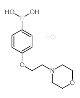 4-(2-吗啉乙氧基)苯硼酸盐酸盐
