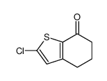 2-chloro-5,6-dihydro-4H-1-benzothiophen-7-one