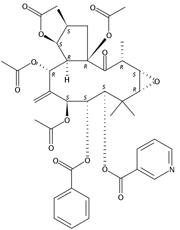 Kansuinine E