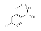 B-(6-氯-4-甲氧基-3-吡啶基)-硼酸