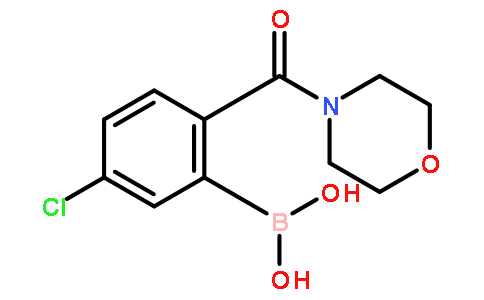 5-氯-2-(吗啉-4-羰基)苯硼酸