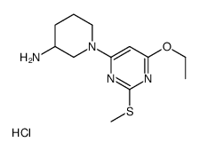 1-(6-Ethoxy-2-(methylthio)pyrimidin-4-yl)piperidin-3-amine hydrochloride