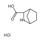 (1S,3r,4r)-2-氮雜雙環(huán)[2.2.1]庚烷-3-羧酸鹽酸鹽