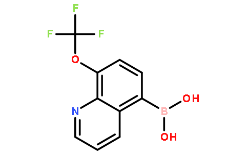 8-三氟甲氧基喹啉-5-硼酸