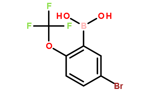 5-溴-2-三氟甲氧基苯硼酸