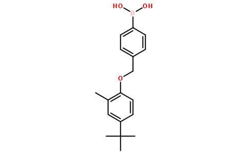 4-[(4-叔丁基-2-甲基苯氧基)甲基]苯硼酸