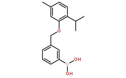 3-[(2-异丙基-5-甲基苯氧基)甲基]苯硼酸