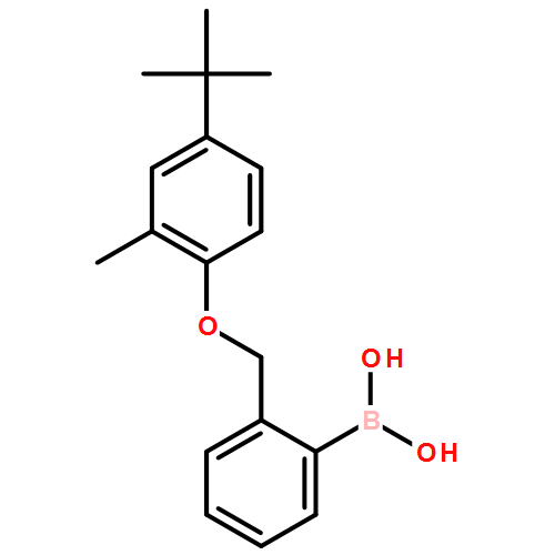 2-[(4′-叔丁基-2′-甲基苯氧基)甲基]苯硼酸